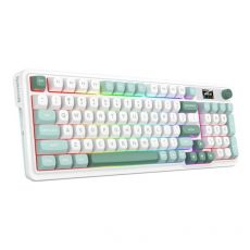 Mouse & Keyboards
