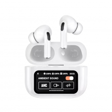 Earphones