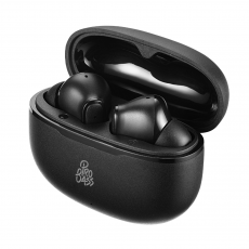 Earphones