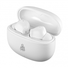 Earphones