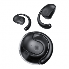 Earphones