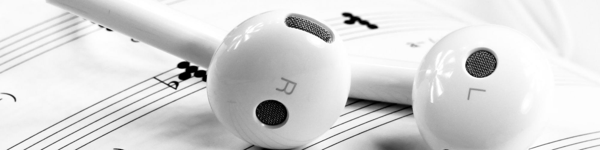 Earphones