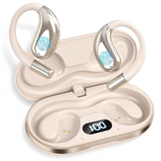 Earphones