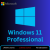 Windows 11 Professional - Email Delivery